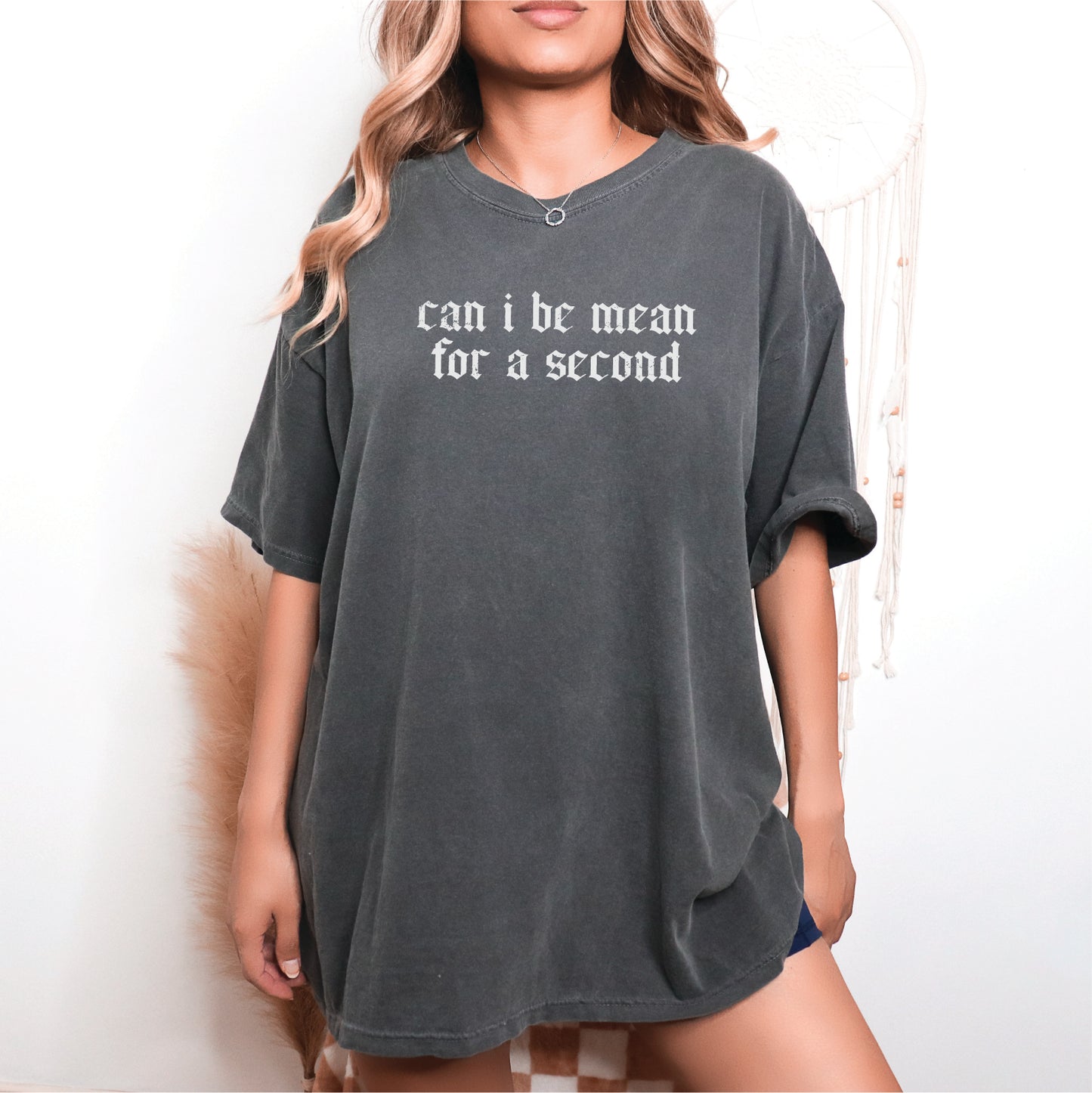 Can I be Mean for a Second, Funny Tee Screen Printed Unisex Shirt
