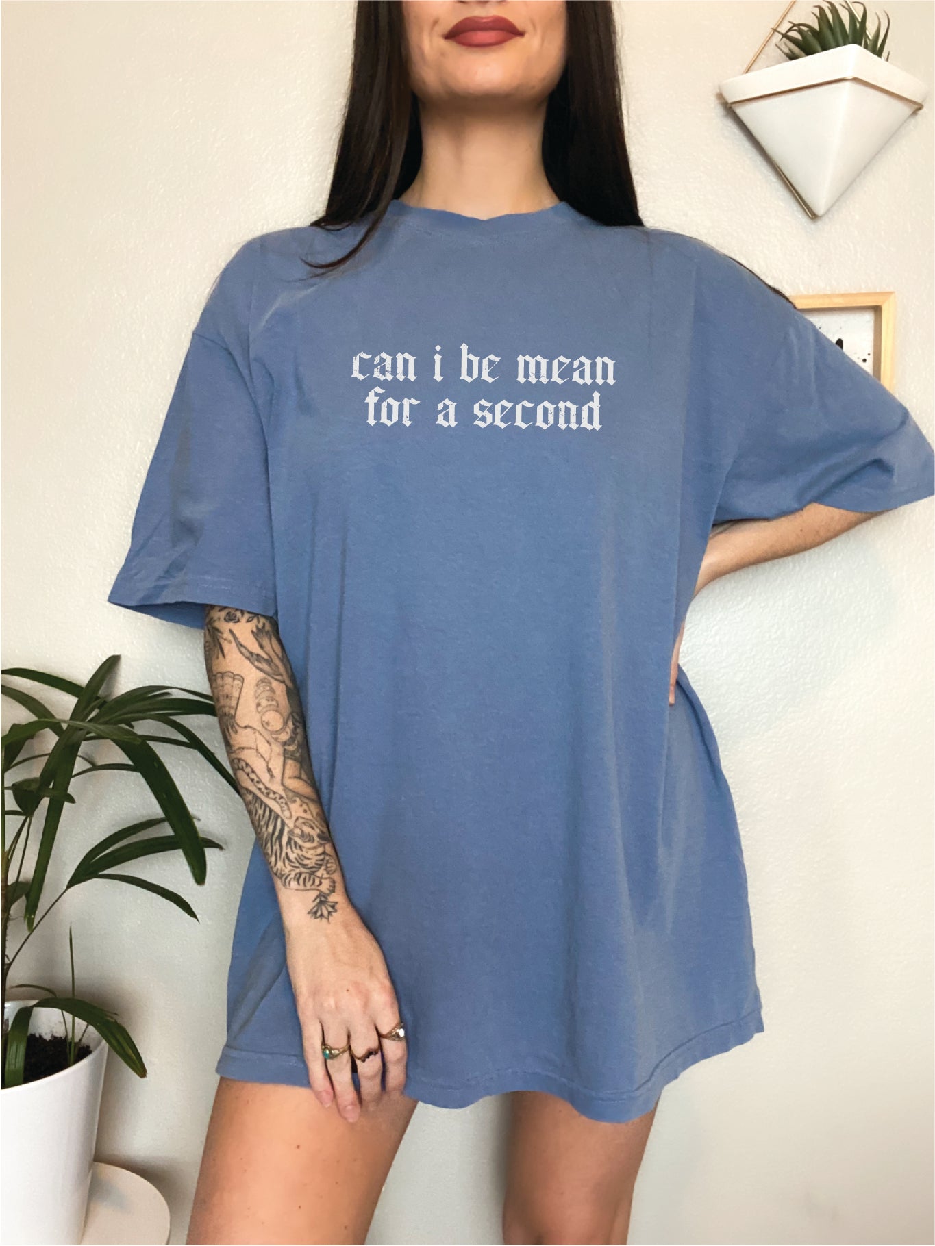 Can I be Mean for a Second, Funny Tee Screen Printed Unisex Shirt