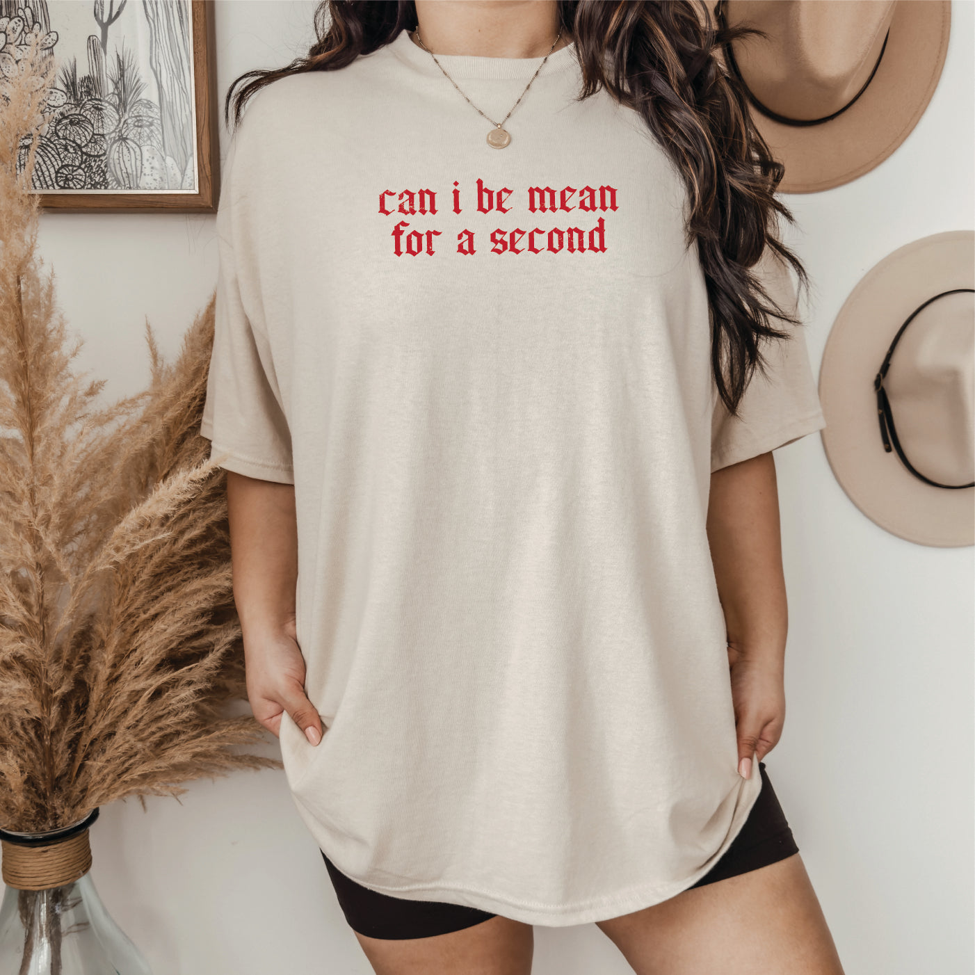 Can I be Mean for a Second, Funny Tee Screen Printed Unisex Shirt